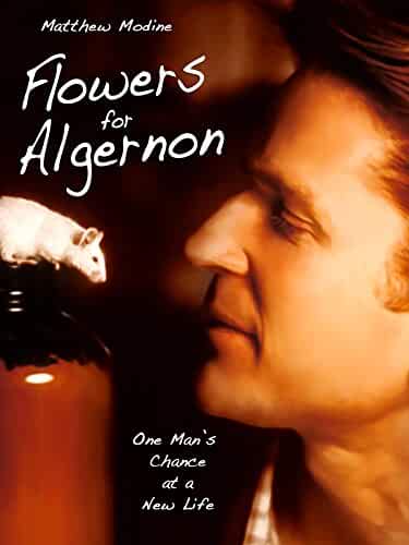 Flowers for Algernon 2000 Movies Watch on Amazon Prime Video