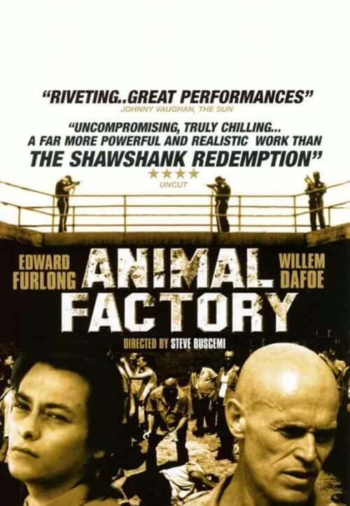 Animal Factory 2000 Movies Watch on Amazon Prime Video