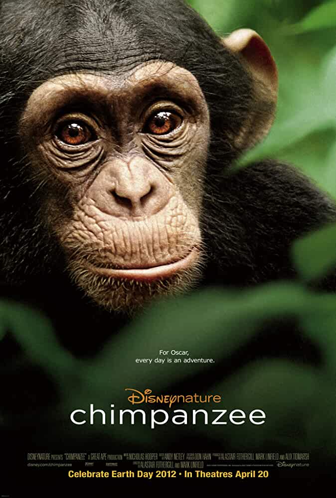 Chimpanzee 2012 Movies Watch on Disney + HotStar
